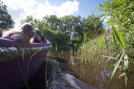 A pupil in a BeWILDerboat.